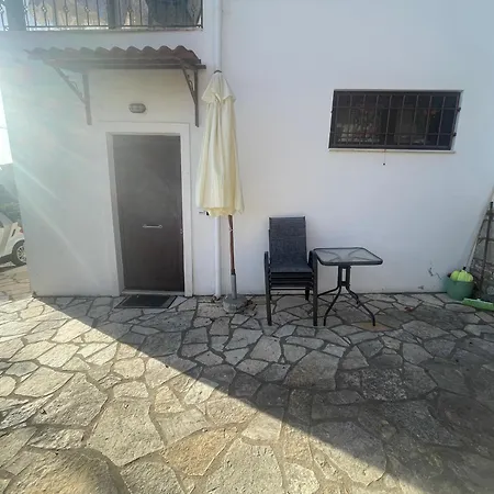 Forest House Apartament